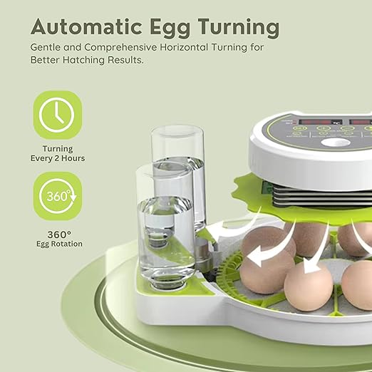 ME JO Egg Incubator for Hatching Eggs with Automatic Egg Turning & Humidity Control – Dual Power Supply Chicken Egg Incubator, Quail, Duck, Reptile Hatchery, Small Digital Smart Incubator (18 Eggs) - Image 3