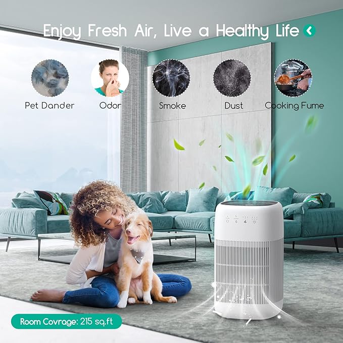 Afloia Air Purifier and Dehumidifier in 1, Air Purifier with Efficient Filter, Small Dehumidifier Combined with Air Cleaner, Remove Pet Odors Dust Smoke for Home, Bedroom, Bathroom - Image 2