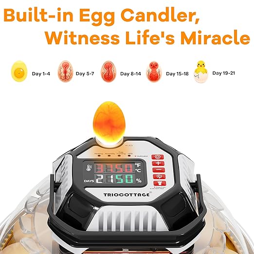 Incubators for Hatching Eggs 12-18 Egg Incubator with Automatic Egg Turning and Humidity Control,Egg Candler,Auto Water Replenishment,for Chicken Eggs and Quail Egg M12H (Yellow) - Image 3