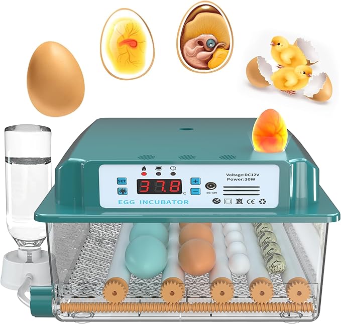 Choies 16 Egg Incubator,Incubators for Hatching Eggs,Automatic Egg Turning,Humidity Control,Automatic Water Adding,Incubator with Egg Candler,Quail Eggs Incubators for Hatching Chicken,Duck,Goose by ChoiesClothing