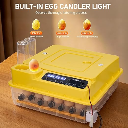 Winado Incubators for Hatching Eggs, 30 Egg Incubator with Automatic Egg Turning, Temperature & Humidity Control, Egg Candler, Automatic Water Filling and Day Counter for Eggs Hatching - Image 5