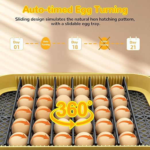 24 Egg Incubator with Temperature Control & Humidity Monitoring, Automatic Egg Turner, Built-in Egg Candler, 360° Clear View for Hatching Chicken, Duck, Quail Eggs - Ideal for Home, Classroom, Farm - Image 5