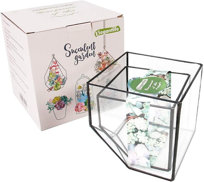 ELEGANTLIFE Glass Geometric Plant Terrarium Container, Flower Pot Tabletop Planter Decor Glass Display Box Succulent & Air Planter for Home Garden Office Decoration(Black Cubic Set of 2) - Image 8