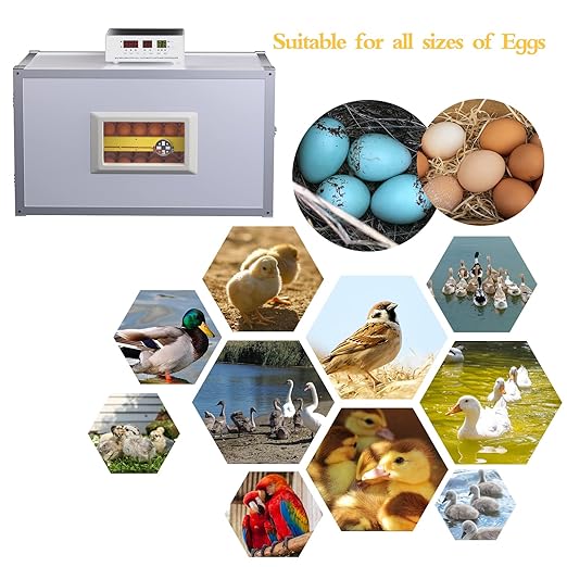 Egg Incubator ，Farm Egg Incubator with Automatic Egg Turning and Humidity Control，Industrial Brooding Machine Chicken Incubator ，Suitable for Chicken Duck Goose Quail Parrot Bird Eggs - Image 6