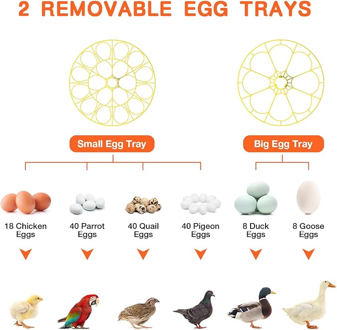 18 Egg Incubator, Incubator for Hatching Eggs, Automatic Egg Turning and Humidity Temperature Control, Egg Candler, Hatch Day, Automatic Water Refill, for Chicken, Ducks, Quail, Goose, Pigeon - Image 7