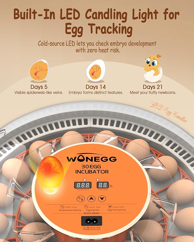 30 Egg Incubators for Hatching Eggs with Automatic Egg Turner, Auto Temperature Control, LED Candling, Humidity Monitor, 360° Viewing for Chicken Quail Parrot Birds - Image 4