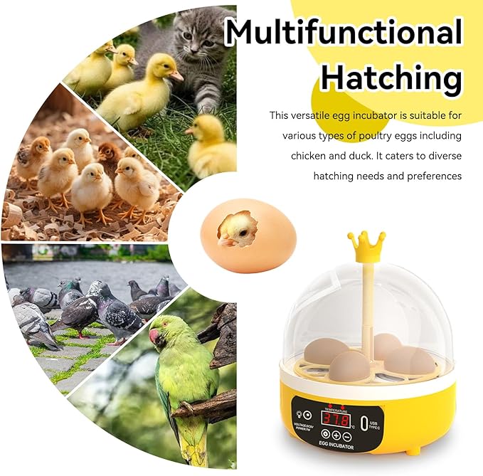 Mini Egg Incubator, 4 Egg Incubator Household Hatching Machine Automatic Temperature Humidity Control for Farm, Classroom, Home Use (Auto Turning) - Image 7