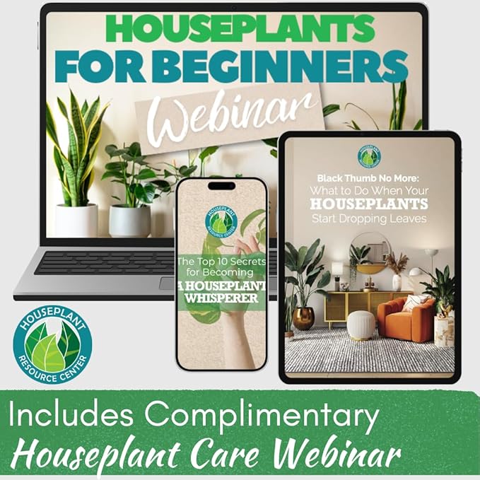 Houseplant Health Meter – 3-in-1 Tool to Prevent Overwatering, Root Rot & Leaf Burn | Test Soil Moisture, Sunlight & pH | Simple, Easy, Battery-Free | Suitable for Indoor, Outdoor & Potted Plants - Image 8