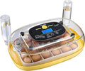 VEVOR 24 Egg Incubator, Automatic Egg Turner with LED Candler, Temperature & Humidity Control, 360° View Clear Window, Auto Water Refill, Poultry Eggs Incubators for Hatching Chicks Ducks Goose Quail by VEVOR