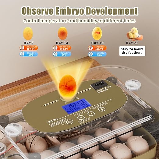 XOTTI Incubator for Hatching Eggs, 24 Egg Incubator with Precise Temperature Control, Auto Egg Turner, 360° Clear View, LED Candler, Alarm for Chicken Duck Quail Goose for Home School Farm Lab - Image 7