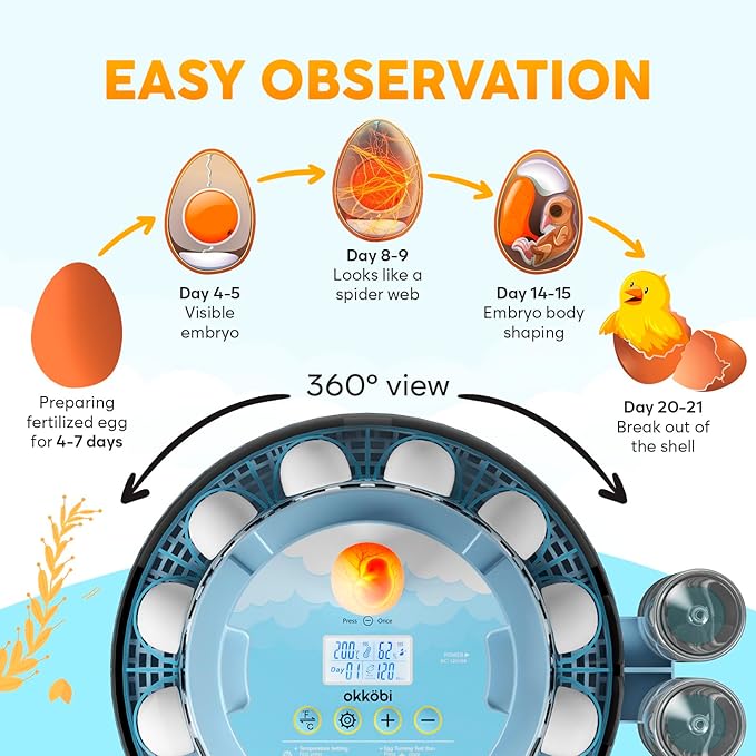 18 Egg Incubator with Automatic Egg Turning and Humidity Control – Egg Incubators for Hatching Eggs – Egg Candler, Water Bottle Refill, Air Vent, 360° View – Incubadora de Huevos de Gallina - Image 4