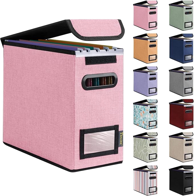 BALEINE File Organizer Box with Lid, Collapsible File Folder Organizer with Plastic Slide, Hanging File Folder Box for Office Document Storage (1 Pack, Pink, S) by BALEINE