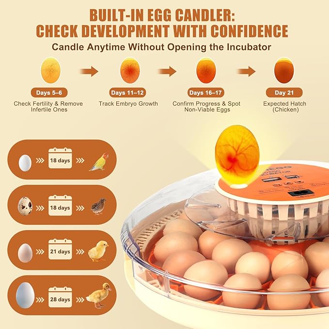Core Max 30 Egg Incubator for Large-Batch Hatchers, Hands-On Control, Auto Egg Turning, Manual Water Fill, Consistent Temp, Real-Time Display, Candler for Chicken, Goose, Duck, Quail, Pigeon, Turkey - Image 2