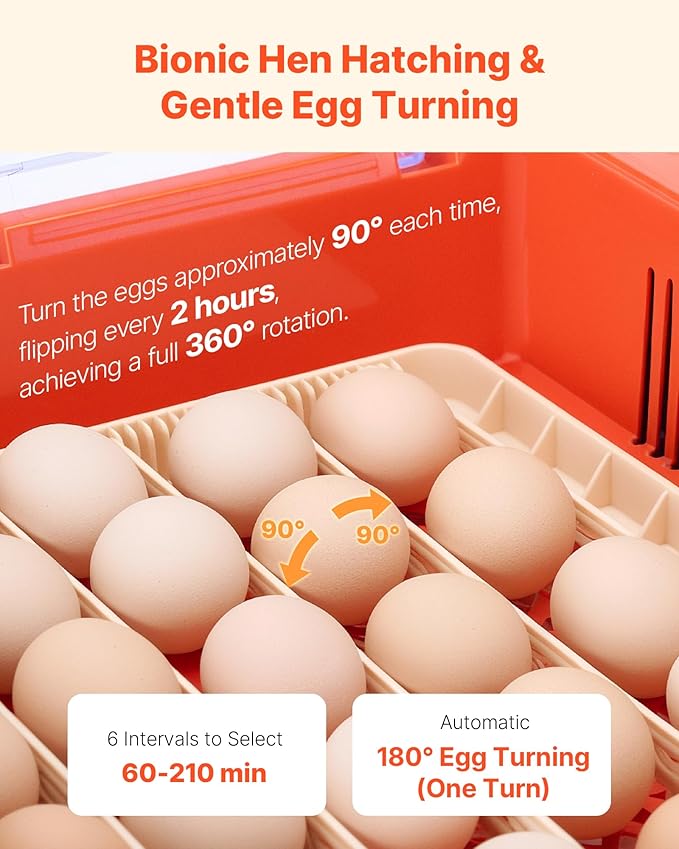 VEVOR 36 Egg Incubator, Automatic Egg Turner with LED Candler & Water Tray, Temperature & Humidity Control, 360° View Clear Window, Poultry Eggs Incubators for Hatching Chicks Ducks Goose Quails - Image 4