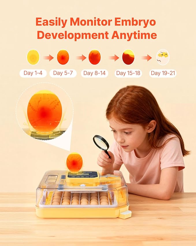 VEVOR 48 Egg Incubator, Automatic Egg Turner with LED Candler, Temperature Display & Auto Humidity Control, 360° View Clear Window, Poultry Eggs Incubator for Hatching Chicks Ducks Goose Quail - Image 5