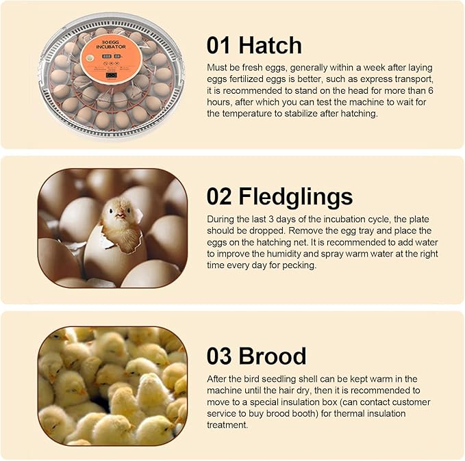 30 Eggs Incubator with Automatic Egg Turning with External Injection Water Bottle - Household Small Poultry Hatching Machine with Egg Candler Light for Chicken, Ducks, Pigeons,Bird (US Plug) - Image 7