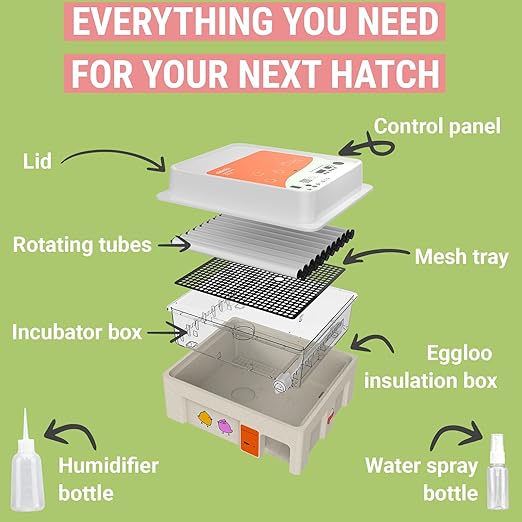 OBI-36 Egg Incubator for Hatching - 36 Eggs - Stable Temperature & Humidity Control with Eggloo Insulation, Candler - Ideal for Families and Farms - Suitable for Chicken, Duck, Quail Eggs - Orange - Image 4
