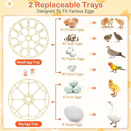 18 Egg Incubator for Chicken Eggs, Automatic Egg Turning and Humidity Control Incubator for Hatching Eggs Chicken Duck Quail Goose Peacock Turkey for Home Classroom Lab - Image 9