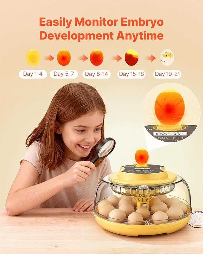 VEVOR 18 Egg Incubator, Automatic Egg Turner with LED Candler, Temperature & Humidity Control, 360° View Clear Window, Auto Water Refill, Poultry Eggs Incubators for Hatching Chicks Ducks Goose Quail - Image 5