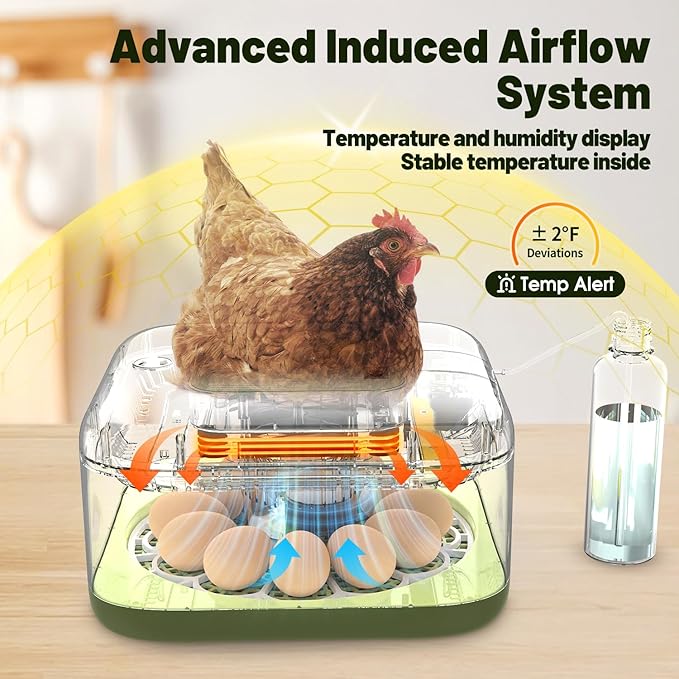 12 Egg Incubator with Automatic Egg Turning and Humidity Control, LED Egg Candling Light, Customized Incubation Days, Incubators for Hatching Eggs, Chicken Quail Parrot Pigeon Birds, Green - Image 7