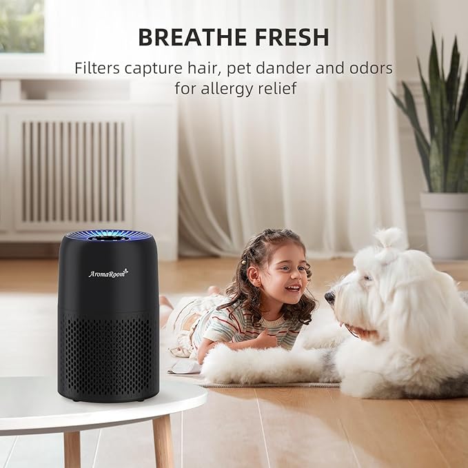 Air Purifiers for Home Bedroom, AromaRoom H13 HEPA Air Purifier Filter for Allergies, Pollen, Smoke, Dusts, Pets Dander, Odor, Hair, 22dB Quiet Air Cleaner for Room, Office, Dorm, AP100-B (Black) - Image 9