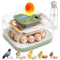 Incubator for Hatching Eggs Automatic Humidity and Temperature Control 12 Eggs Incubator, Digital Display Auto Turner 360° View Egg Candler for Chicken, Duck and Quail Bird Eggs by Unknown