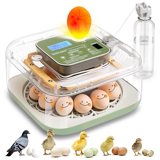 Incubator for Hatching Eggs Automatic Humidity and Temperature Control 12 Eggs Incubator, Digital Display Auto Turner 360° View Egg Candler for Chicken, Duck and Quail Bird Eggs by Unknown