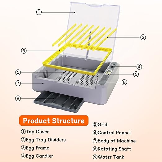 Automatic Egg Incubator, Automatic Egg Turner with Thermometer Control & Humidity Control, Egg Candler, 360°View,Incubator for Hatching Chicks-36 Egg Capacity - Image 7