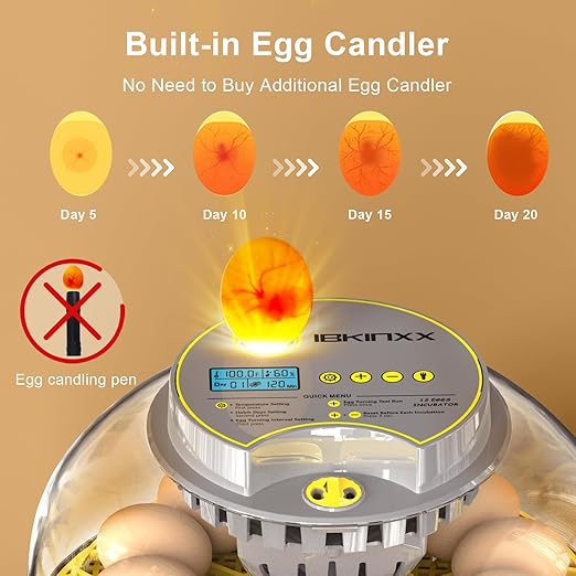 Incubator for Hatching Eggs-12 Egg Capacity, Automatic Egg Turner, Temperature & Humidity Control, 360° Viewing for Chicken, Duck and Quail Eggs - Image 3