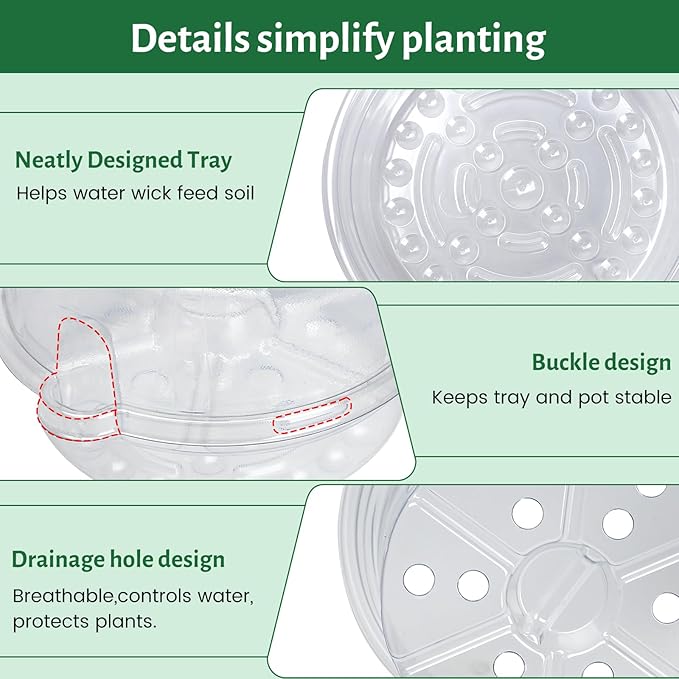 12 Pack 6.5 Inch Clear Self Watering Plant Pots with Bottom Water Tray & Watering Rope, Transparent Nursery Pots with Drainage for Seedlings, Herbs, and Houseplants - Image 5