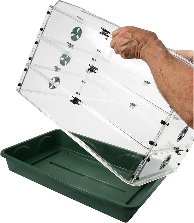 EarlyGrow 24" x 15" x 12.75" Domed Propagator with 2 Height Extenders and Locking Clip Set, Green - Image 4