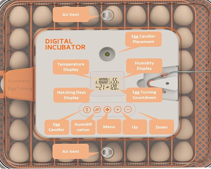 Egg Incubator for Hatching Eggs, Intelligent 56 Eggs Incubator with Temperature & Humidity Control, Automatic Egg Turning, Hatch Days & Egg Candler, Adjustable - Image 2