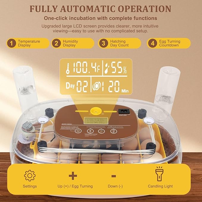 Smart 24-Egg Incubator for Hobbyists, Full-Stage Adaptive Humidity (Dual-Bottle) & Temp Control, Custom-Interval Auto Turn & Auto Stop, Preset Incubation Days, Adjustable Egg Spacing - Image 2