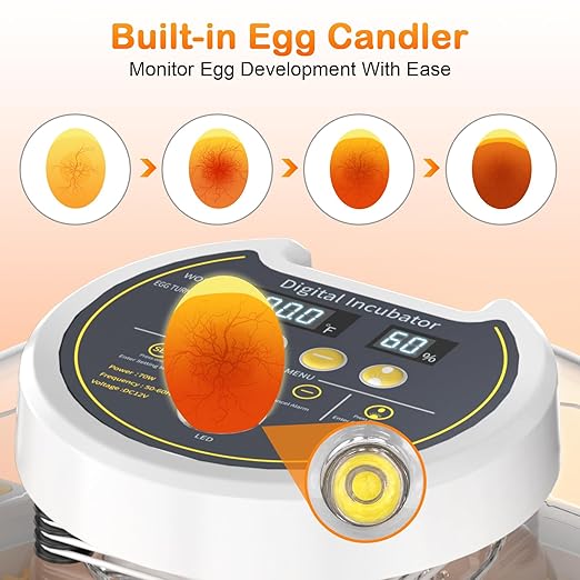 18 Egg Incubator with Automatic Egg Turning and Humidity Control, Incubators for Hatching Eggs, Incubator for Farm Science Classroom Home Chicken Duck - Image 4