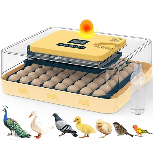 Incubators for Hatching Eggs, 56 Eggs Incubator with Egg Candler, Auto Egg Turner, Temp & Humidity Control, Hatch Day, 360° Viewing for Chicken, Duck, Quail Eggs, Ideal for Farm, School and Lab by innhom