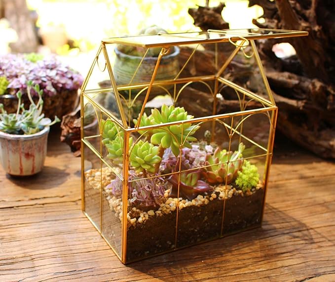 Glass Geometric Plant Terrarium,Succulent & Air Planter for Home Garden Office Decoration (Gold House) - Image 6