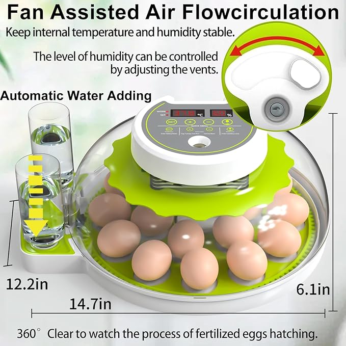 18/60 Egg Incubator with Humidity Display, Incubators for Hatching Eggs, Egg Candler, Automatic Egg Turner, Poultry Egg Incubator for Hatching Chicken Duck Goose Bird Quails- Green - Image 5