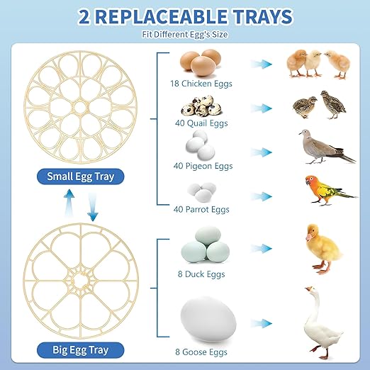 18 Egg Incubator with Automatic Egg Turning & Humidity Control - Perfect for Hatching Chicken, Duck, and Quail Eggs | 360° Viewing Window, Temperature Control, Ideal for Farm, Lab - Image 7