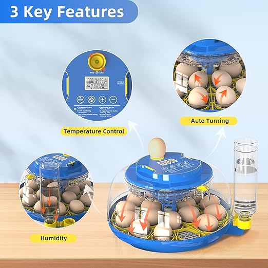 18 Egg Incubator for Hatching Chicken, Duck, Quail Eggs – 360° Visible Lid, Automatic Turning & Humidity Control, Built-in Egg Candler – Ideal for Home & Classroom Science Projects - Image 2