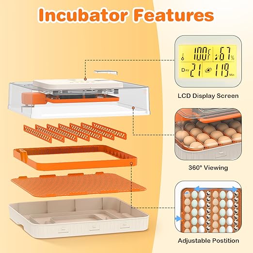 56 Egg Incubator for Hatching Eggs, Egg Incubators with Automatic Egg Turning, Temperature and Humidity Control, Egg Candler, Automatic Water Bottle Refill, Incubator for Chicken, Ducks, Goose - Image 8