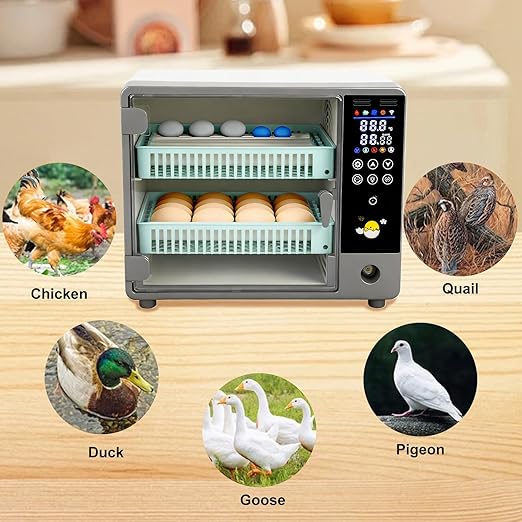 24 Egg Incubator, Automatic Egg Turner Hatching Machine with Candling Light Auto Water & Automatic Temperature & Humidity Control | Adjustable Egg Tray for Chicken Duck Quail Pigeon - Image 8
