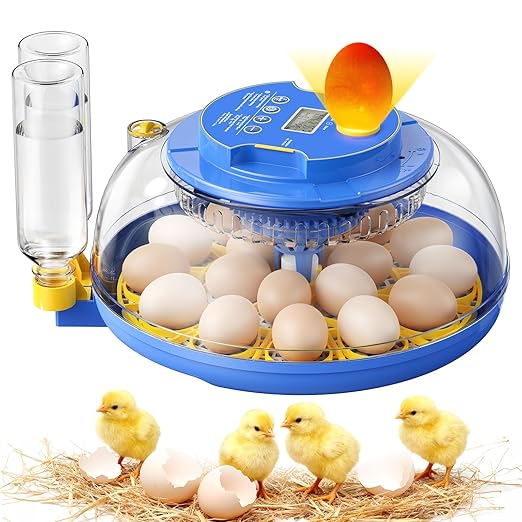 18 Egg Incubators for Hatching Eggs, 360° View with Automatic Egg Turning & Humidity Control, Built-in Egg Candler for Hatching Chicken, Duck, Goose, Quail, Ideal for Home, Classroom, Laboratory, Farm by SORSWEET