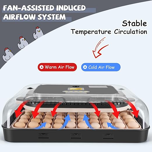 Sailnovo Incubators for Hatching Eggs 70 Egg Incubator with Automatic Egg Turning and Auto Humidification, Temperature Control, Incubator for Chicken Duck Quail Eggs, Perfect for Lab School Farm Use - Image 3