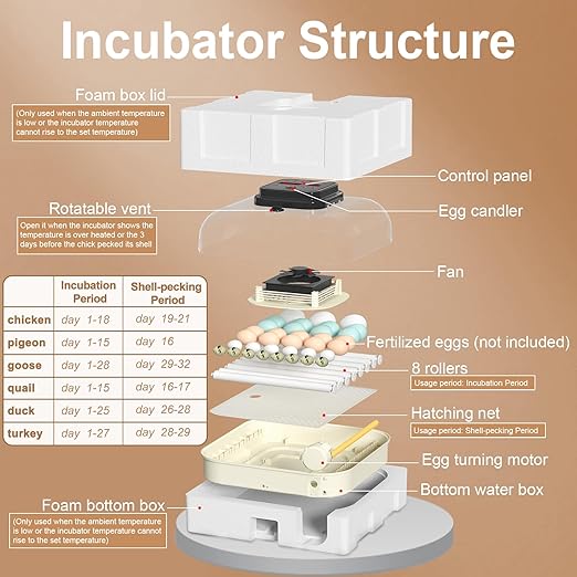 35 Eggs Incubators for Hatching Eggs,Egg Incubator with Automatic Egg Turning and Humidity Control,Chicken Egg Incubator with Egg Candler, Incubator for Chicken, Duck, Goose, Pigeon, Quail - Image 6