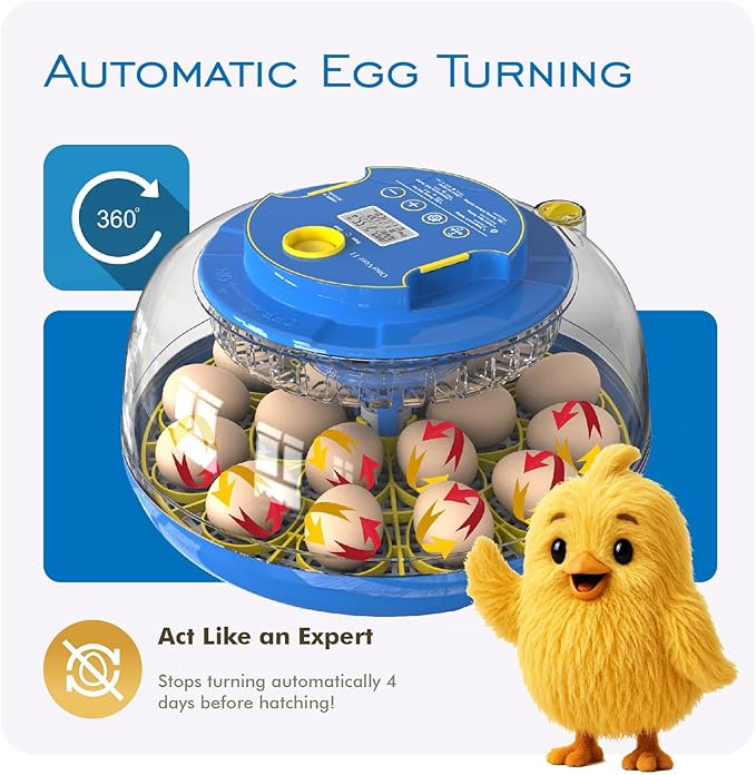 OtterVerz 11 Egg Incubators for Hatching 18-36 Chicken/Quail/Turkey Eggs, 360° View Poultry Incubator with Automatic Egg Turning and Humidity Control, Suitable for Farm, Classroom, Home - Image 8
