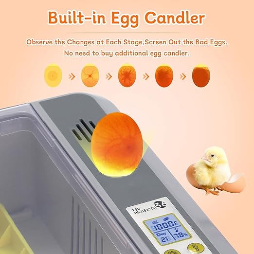 Automatic Egg Incubator, Automatic Egg Turner with Thermometer Control & Humidity Control, Egg Candler, 360°View,Incubator for Hatching Chicks-36 Egg Capacity - Image 2
