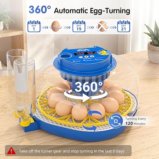 Chicken Egg Incubators for Hatching Eggs, 12 Egg Incubator with Automatic Egg Turning and Humidity Control – Chicken Incubators for Hatching Eggs with 360° View/Candler/Water Bottle Refill/Air Vent - Image 4