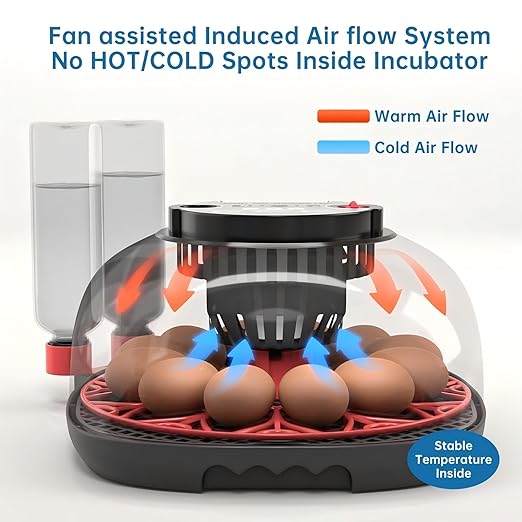 12-24 Egg Incubator with Humidity Display, Egg Candler, Automatic Egg Turner, for Hatching Chickens Duck Quail Parrot - Image 5