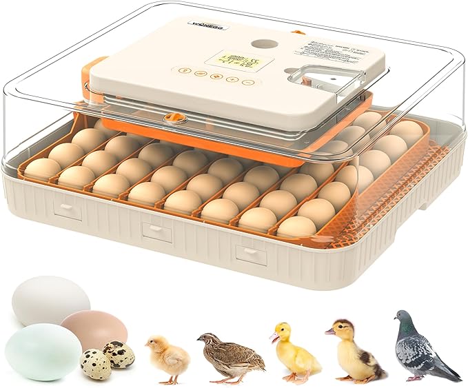 56 Eggs Incubators for Hatching Eggs - Automatic Egg Turner with Temperature and Humidity Control, Egg Candler, Incubator for Hatching Chicken, Duck, Goose, Pigeon, Quail, Parrot Eggs by WONEGG