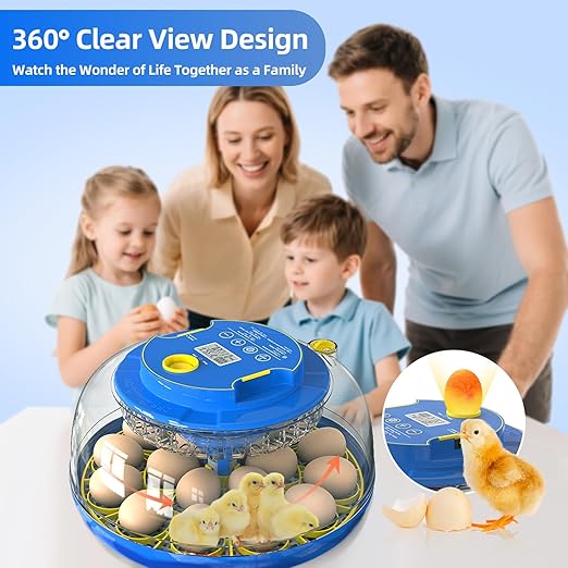 18 Egg Incubator for Hatching Chicken, Duck, Quail Eggs – 360° Visible Lid, Automatic Turning & Humidity Control, Built-in Egg Candler – Ideal for Home & Classroom Science Projects - Image 7